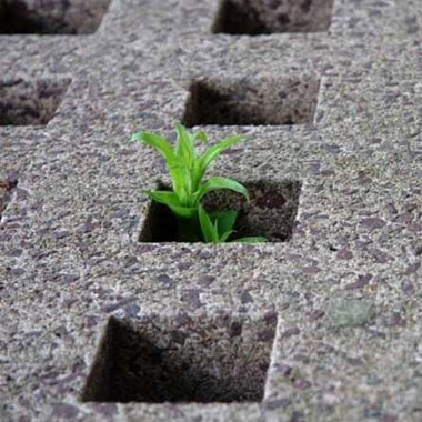 بتن موجودی زنده‌ است