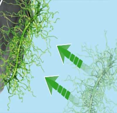 پلی کربکسیلات اتر در فوق روان کننده بتن